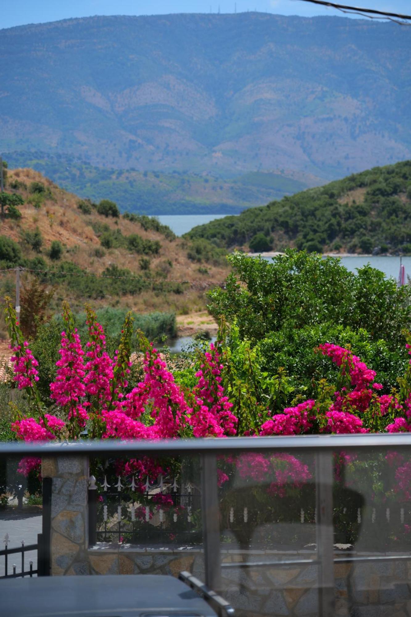 Hotel Zeka Εξαμίλιο Εξωτερικό φωτογραφία